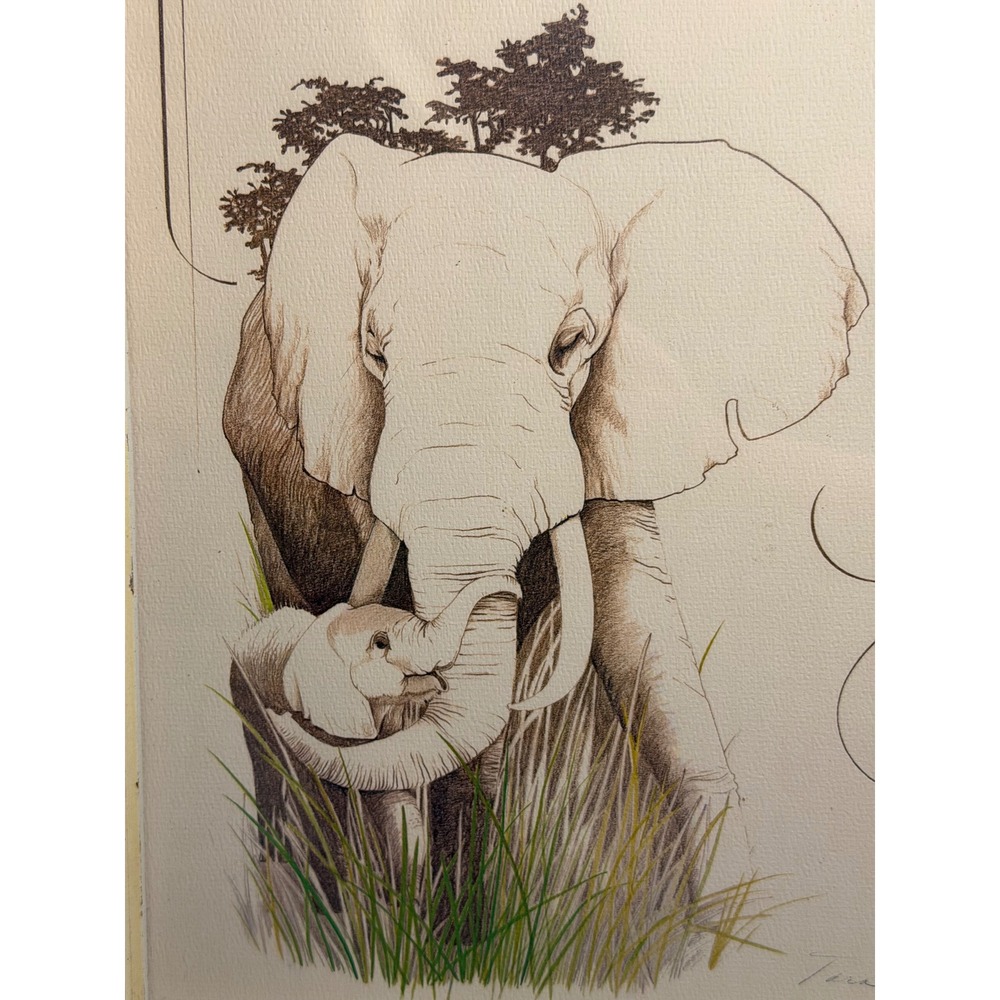 Vintage Tara Signed Wildlife Art Prints Set 2 Tiger Elephant Framed 11x13 Green - Picture 5 of 16